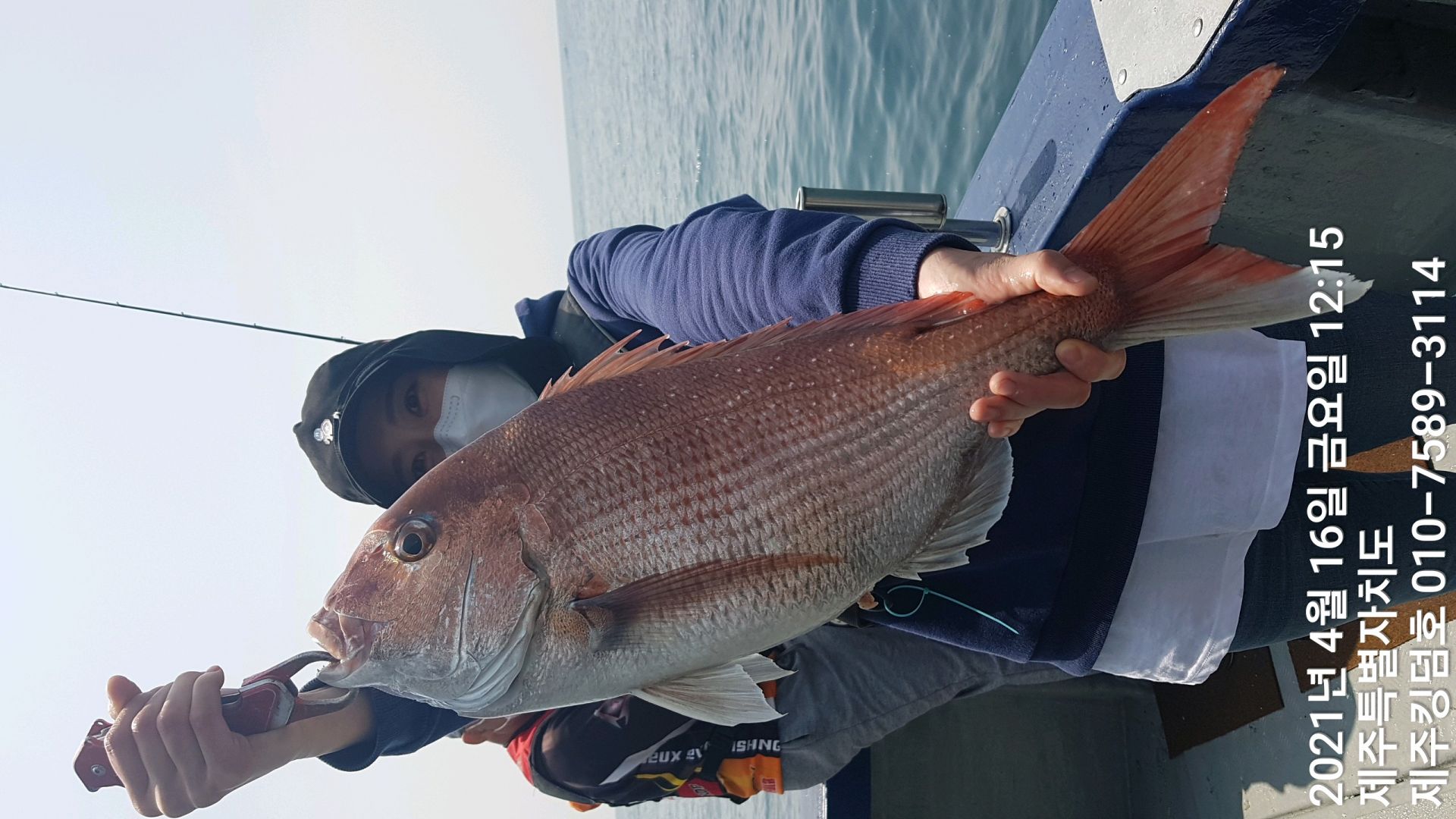 제주킹덤호..4월16일 참돔타이라바