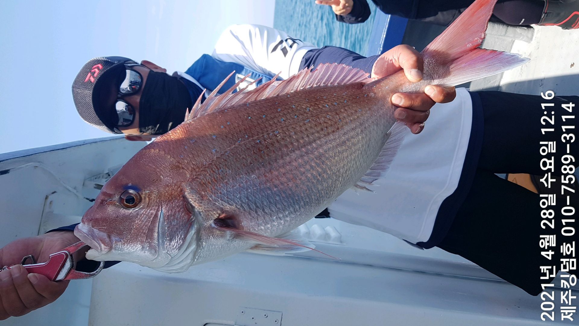 제주킹덤호..4월28일 참돔타이라바