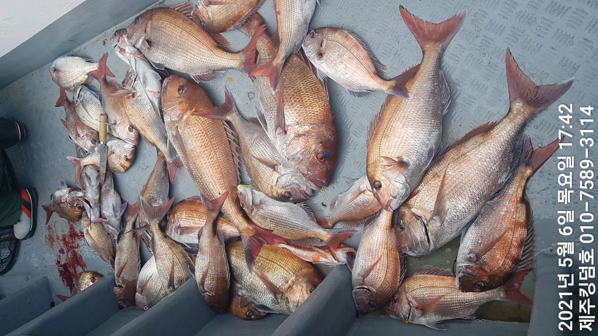 제주킹덤호..5월6일 참돔타이라바..