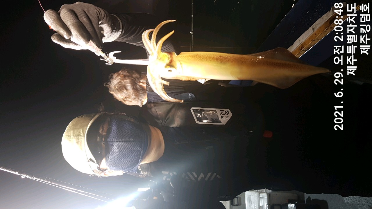 킹덤호..6월28일 한치조황