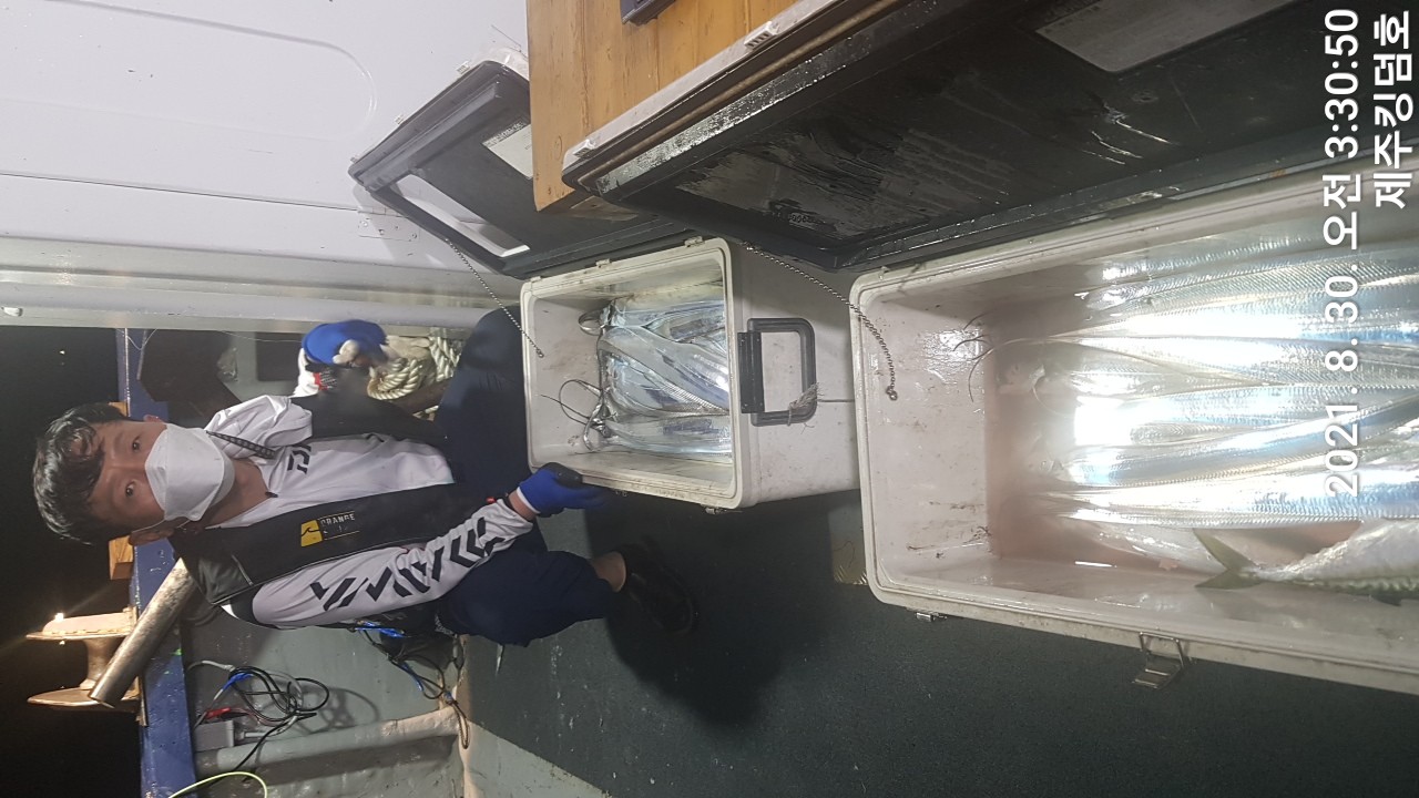 8월29일 갈치조황