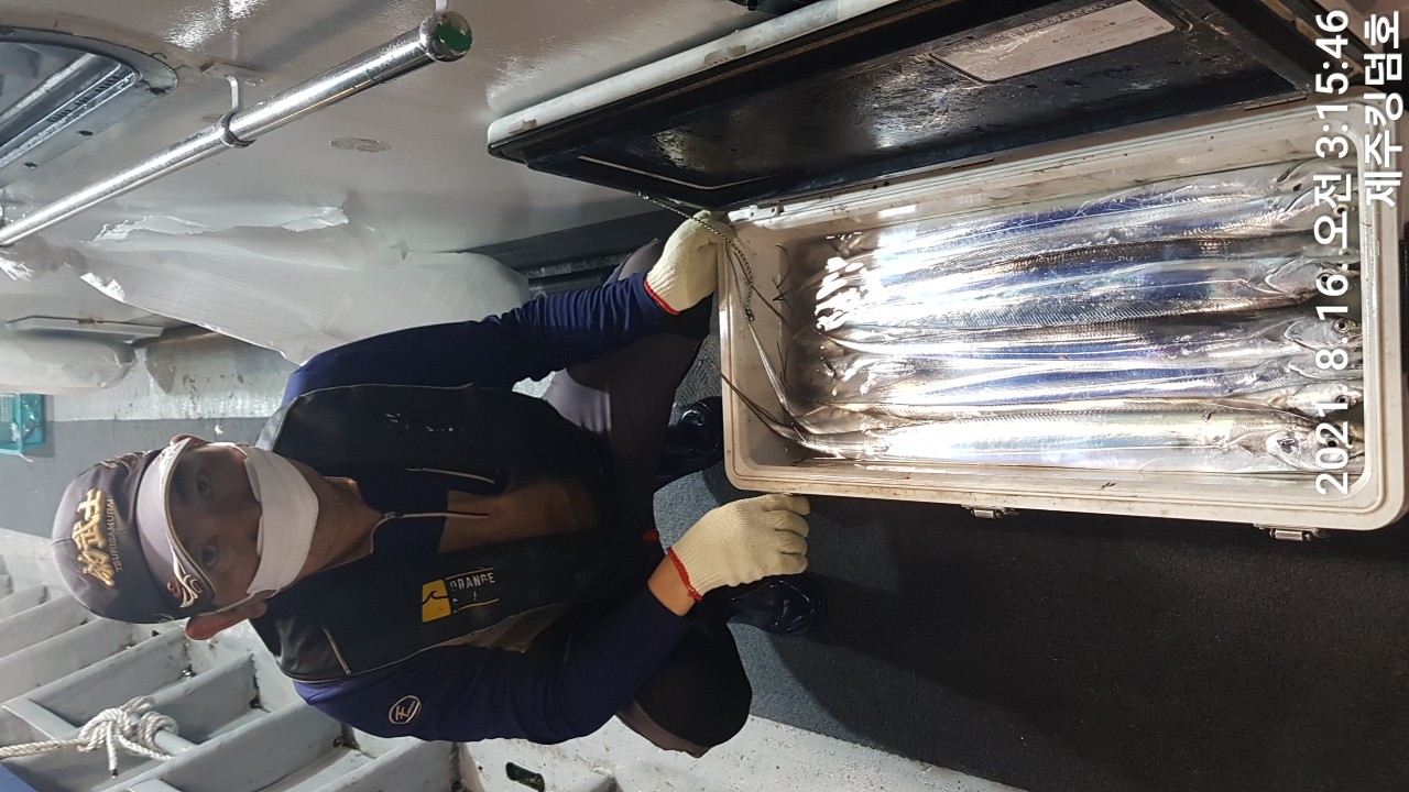 8월15일 갈치생미끼