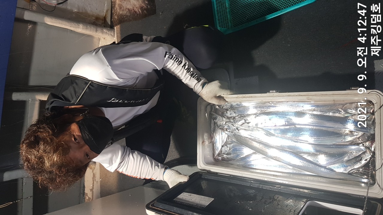 9월8일 갈치조황