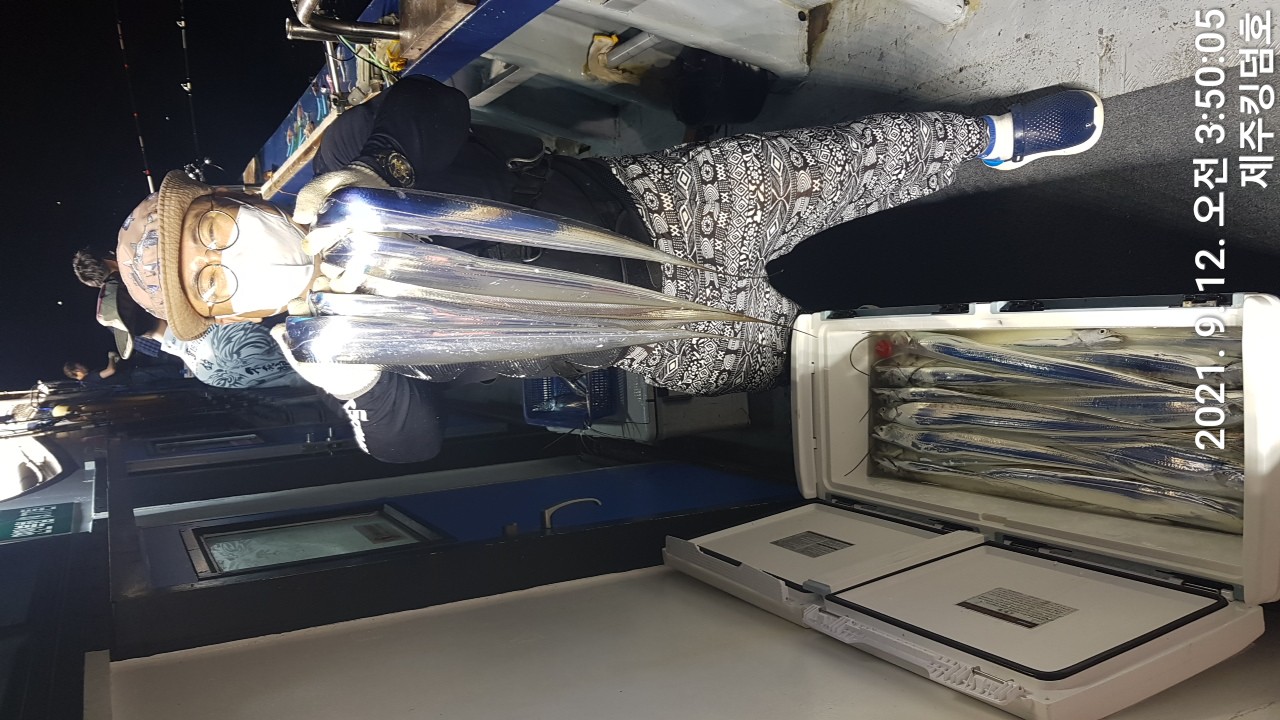 9월11일 갈치조황