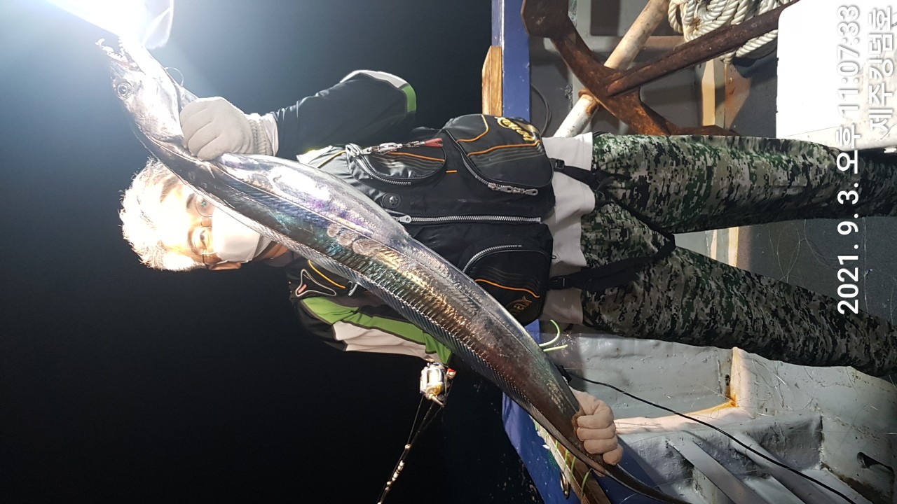 9월3일..갈치조황