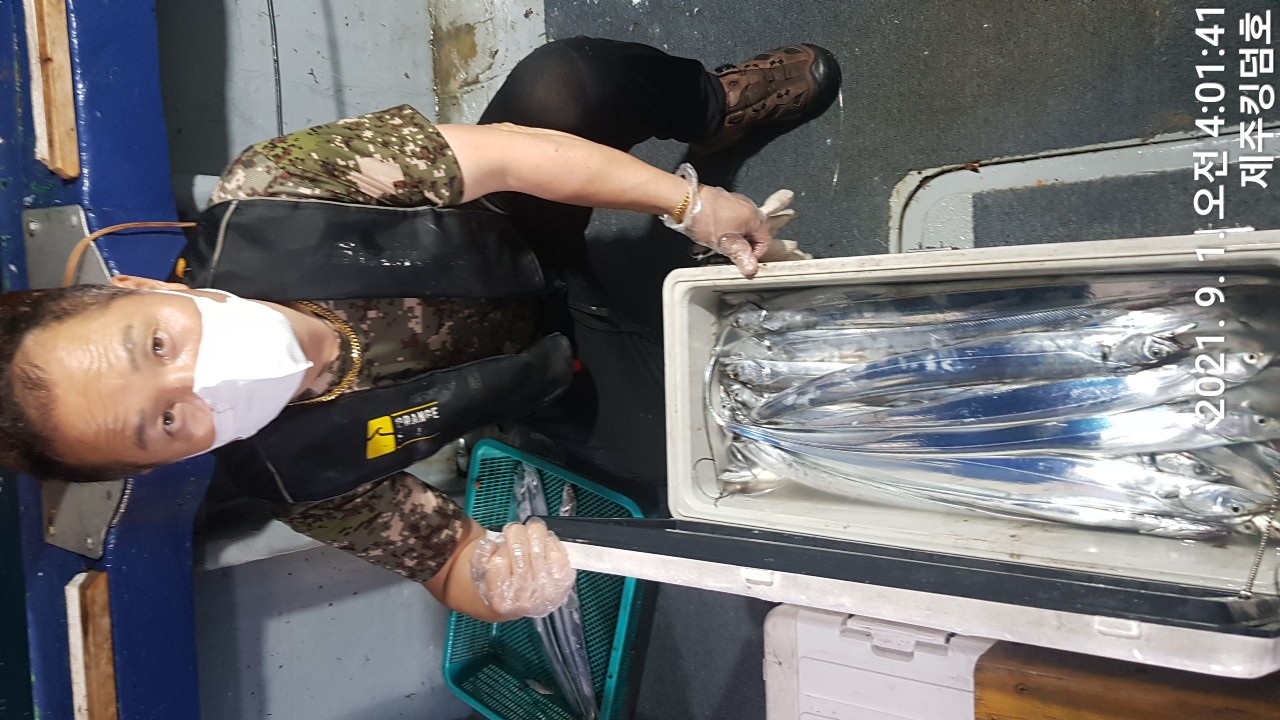 8월31일 갈치조황..