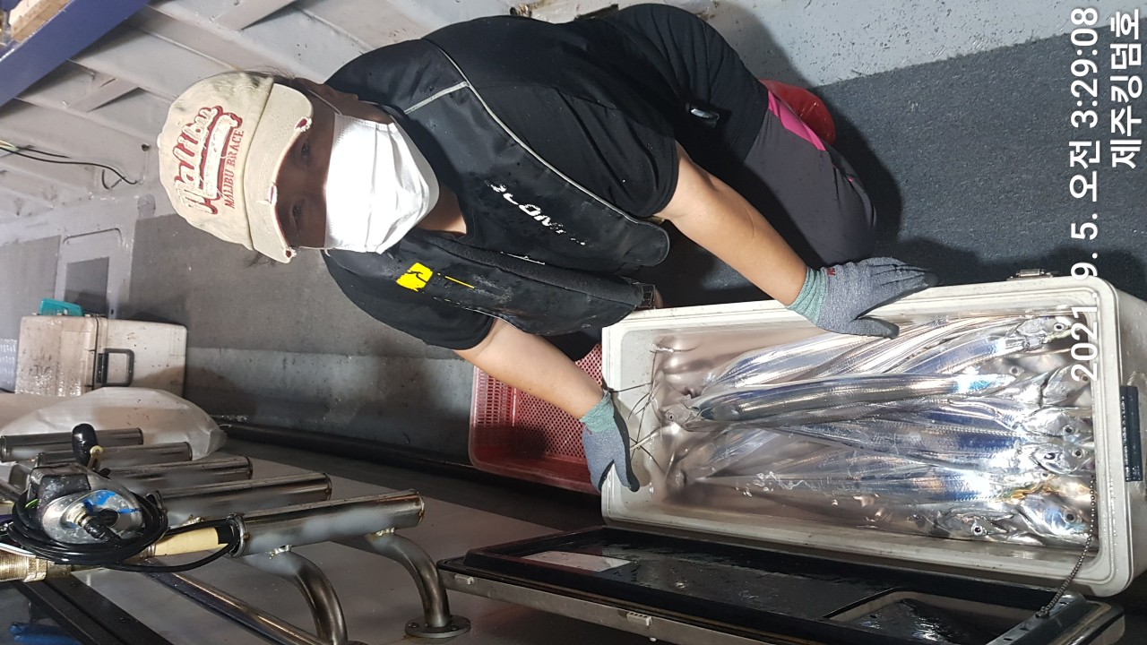 9월4일 갈치조황