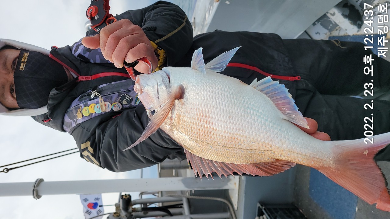 2월23일 참돔타이라바