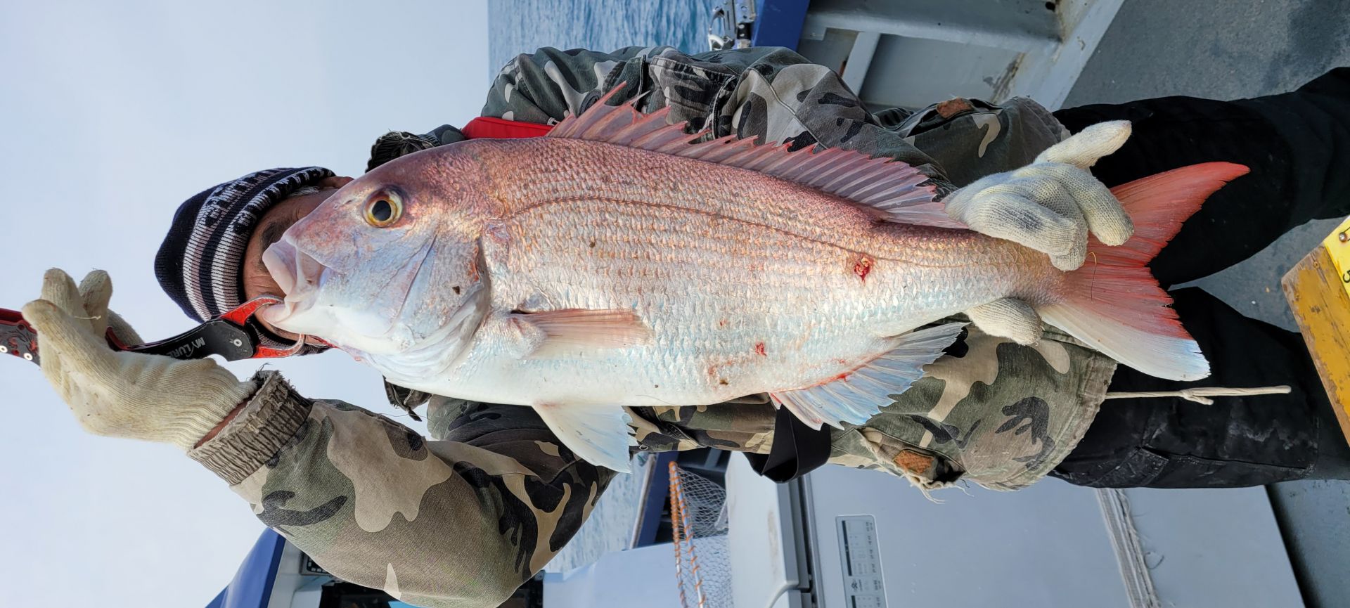 2월9일 참돔타이라바