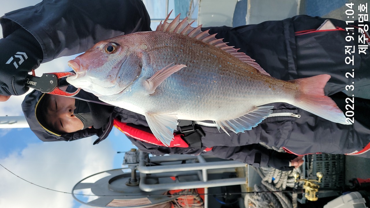 3월2일 참돔타이라바