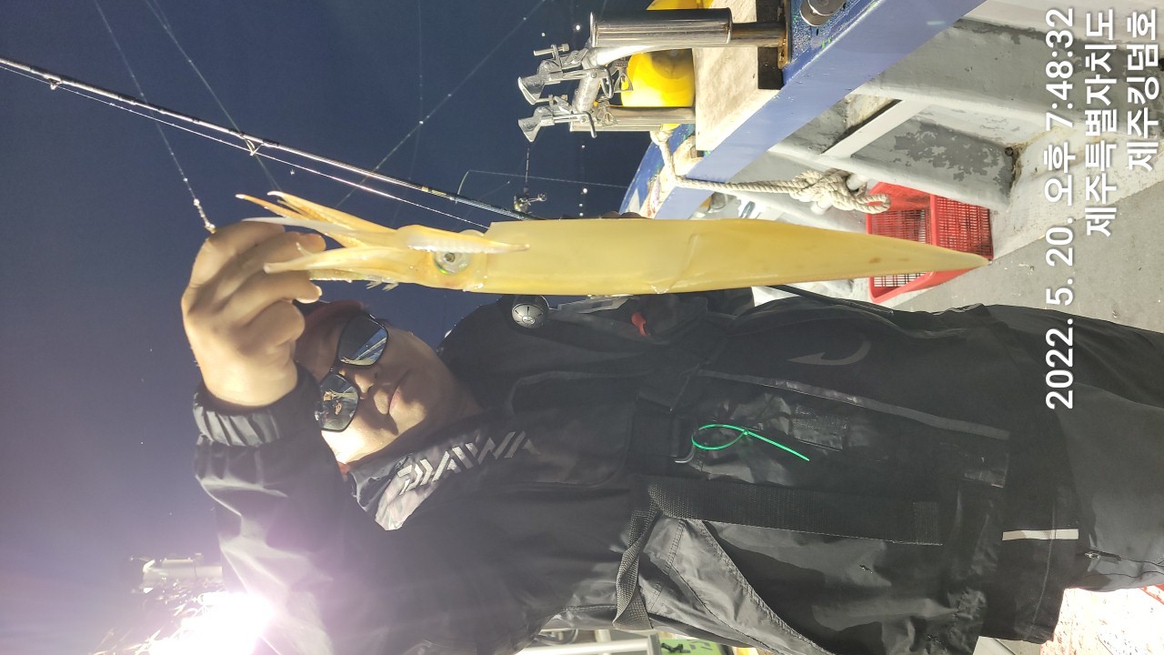 5월21일 한치 첫 출항