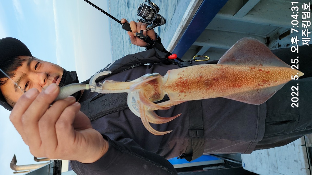 5월25일 한치조황