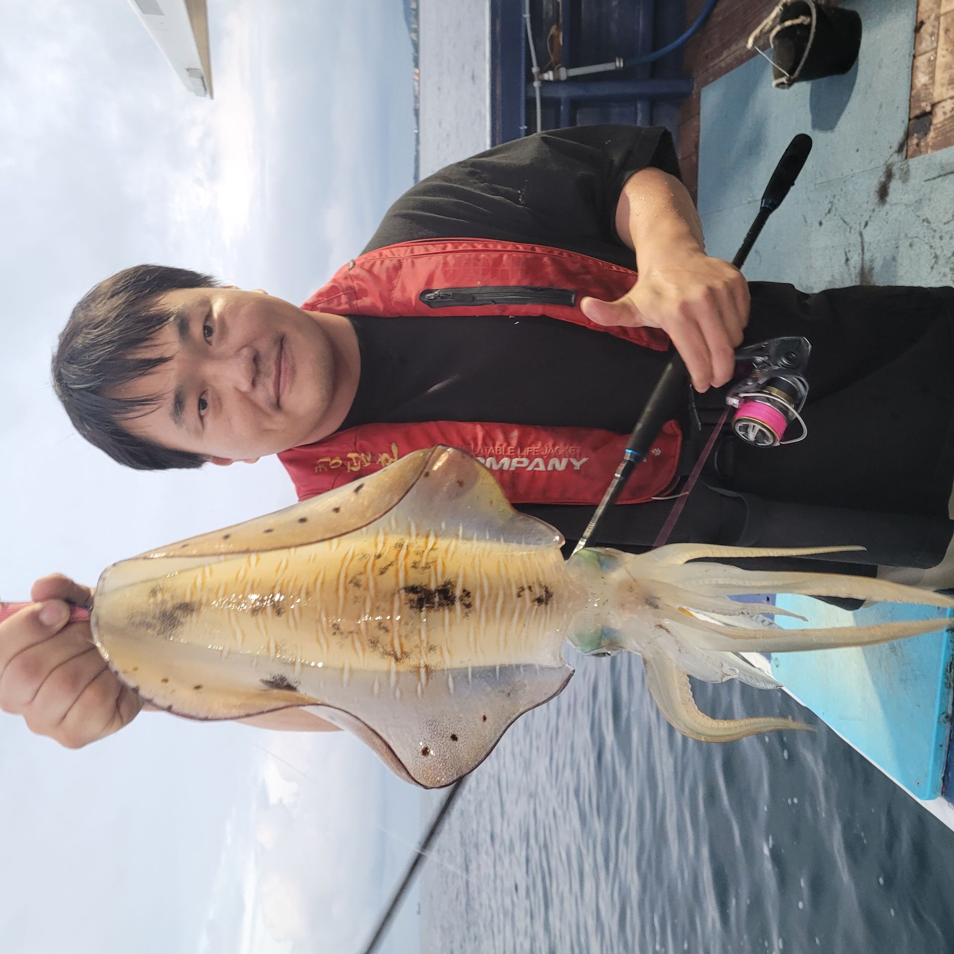 무늬오징어..팁런..